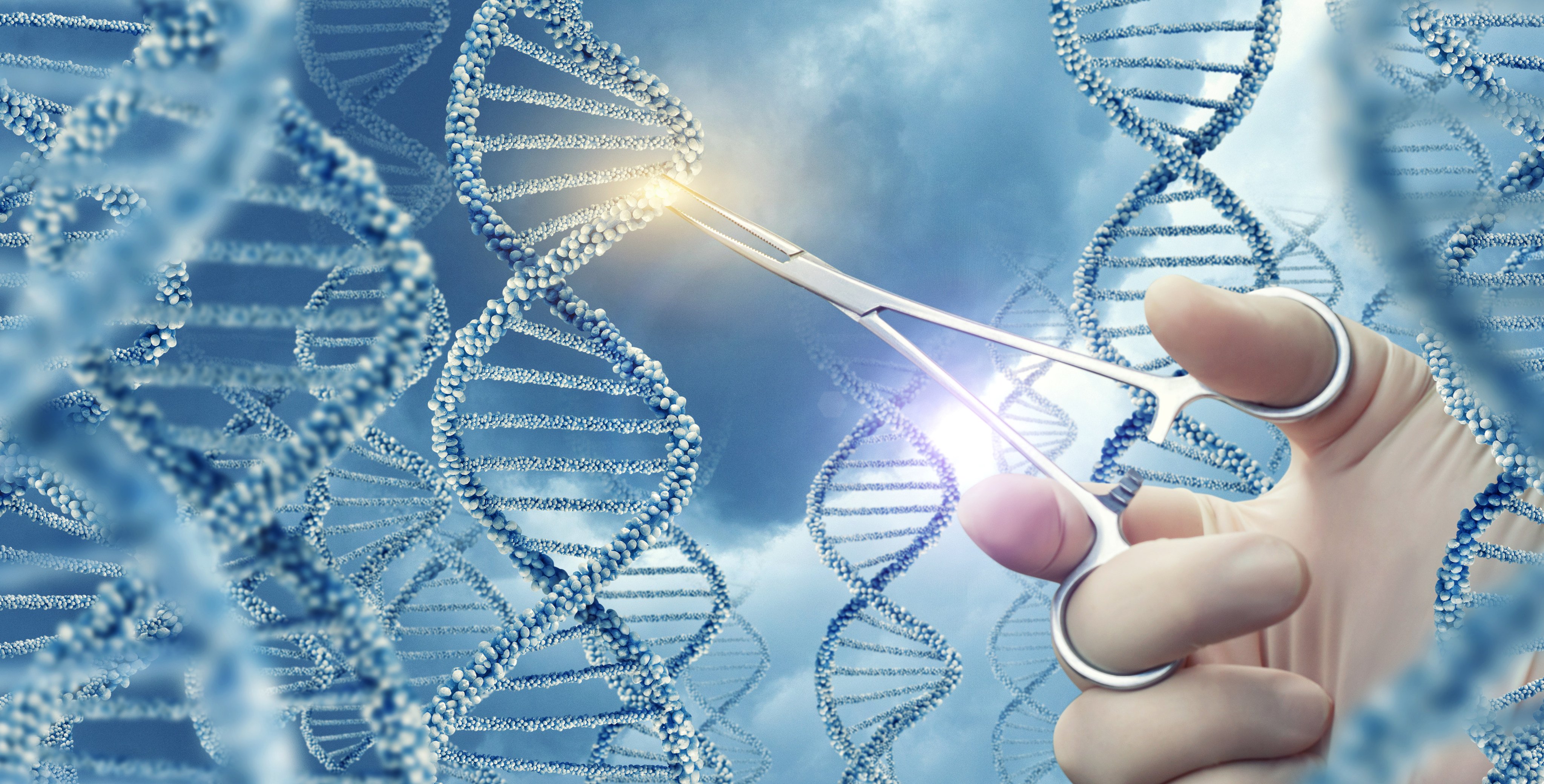 A newly assembled genome has addressed the remaining gaps left from the human genome first sequenced two decades earlier, and reached the “highest level of continuity and accuracy”, according to researchers.  Photo: Shutterstock Images